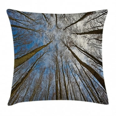 Forest Home Decor Throw Pillow Cushion Cover, Skyward Image of Leafless Twiggy Tree Trunk Cloudy Morning Light Outdoor, Decorative Square Accent Pillow Case, 16 X 16 Inches, Blue Brown, by Ambesonne