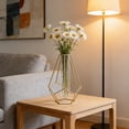 thumbnail image 5 of Votnto Gold Iron Hydroponic Vase with Glass Tube, Modern Wire Frame Flower Vase for Living Room Desktop Home Decor, Table Centerpiece, 5 of 6