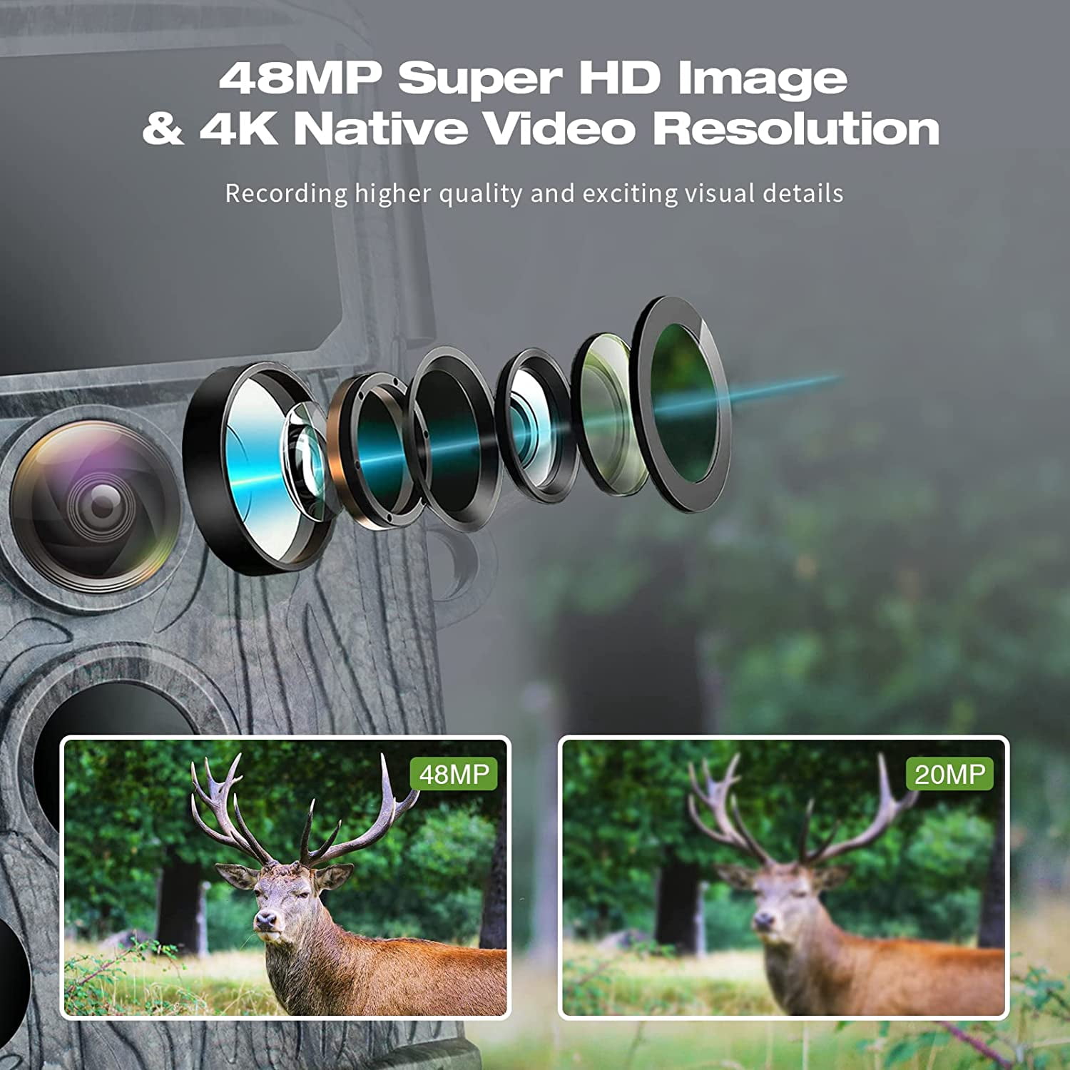 CAMPARK WiFi Trail Camera 4K 48MP Game Hunting Deer Cameras with Night Vision IP66 Waterproof  Motion Activated 2.4"LCD for Wildlife Monitoring