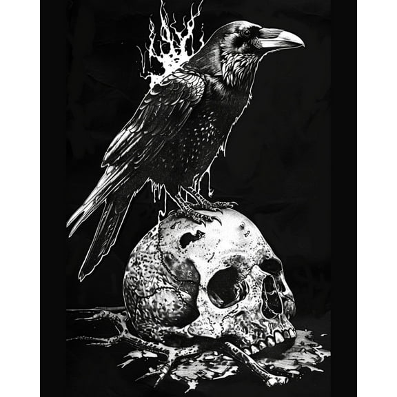 Paint by Numbers for Adults Kids Beginner Crow and Skeleton DIY Acrylic Painting by Numbers Kits with Brushes Acrylic Pigment Home Decoration Gifts 16 x 20 inch