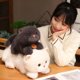 thumbnail image 4 of Gato de peluche de simulación para niños, muñeco de gatito realista, juguete de gatito para mascotas, decoración del hogar, regalo de cumpleaños y Navidad para bebés2598, 4 of 5