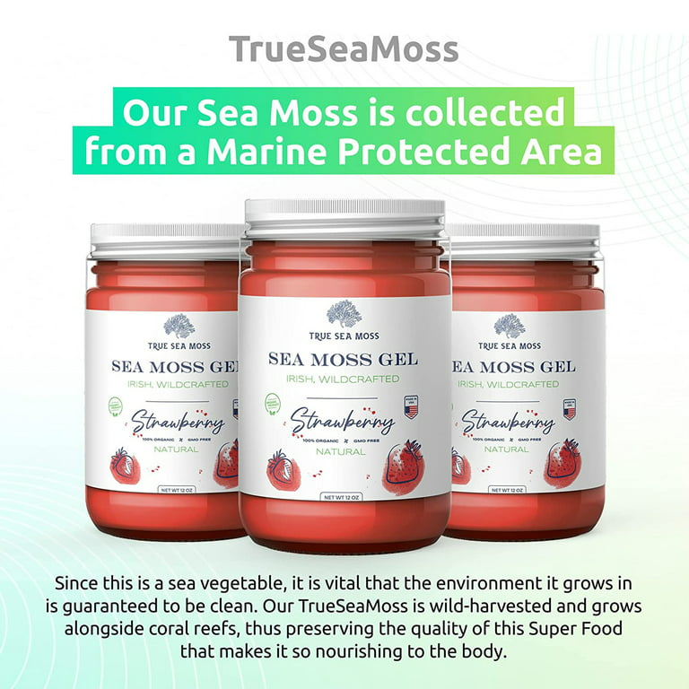 TrueSeaMoss Wildcrafted Irish Sea Moss Gel and Detoxifying Soap Nutritious  Raw Seamoss Rich in Minerals, Proteins & Vitamins – Antioxidant Health