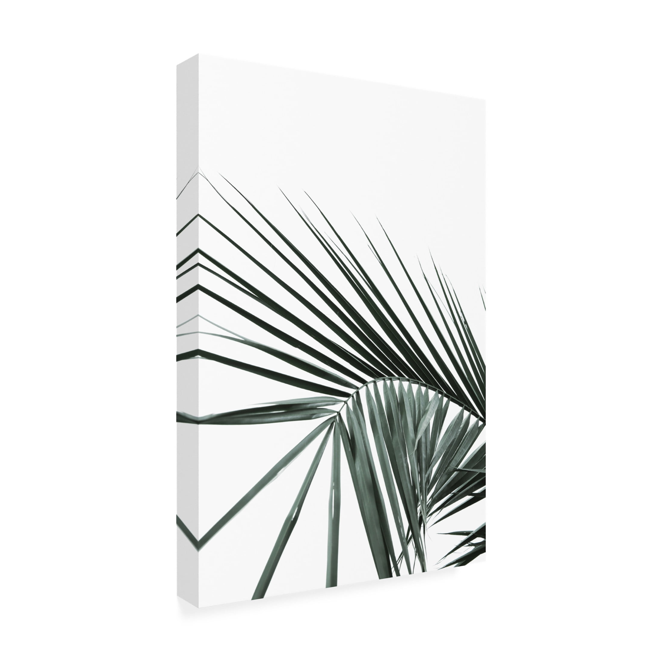 Trademark Fine Art Shot by Clint My Mint Moment 20 Canvas Wall Art