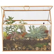 Deco Glass Geometric DIY Terrarium (10x6x8), Succulent & Air Plant- Large House Shaped for Indoor Gardening Decor- Create Your own Flower, Fern, Moss Centerpiece- Amazing Holiday and Wedding Gift