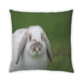 thumbnail image 2 of Ahgly Company Animals Rabbit Outdoor Throw Pillow, 18 inch by 18 inch, 2 of 6