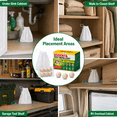 thumbnail image 3 of VKY~Peppermint Oil Spider RepellentBalls 72 Pack ,rodentrepellent for House Garage to Get Rid of Spiders Outdoor Indoor– Natural Deterrent for Home, Garage, Car, 3 of 6