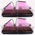 thumbnail image 1 of Seed Starter Tray with DomeSets XL Cell Seedling Trays(Total Cells) Plant Germination Tray with Humidity Vented Lid and Base Mini Propagator Plant house for Seed Growing, 1 of 8