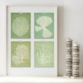 thumbnail image 2 of PixonSign Frameless Mint Green Ocean Sea Coral Wall Art, Set of 4 Nature Wilderness Plant Texture Prints, Botanical Floral Wall Décor, Modern Artwork for Living Room, Bedroom - 11"x14", 2 of 5