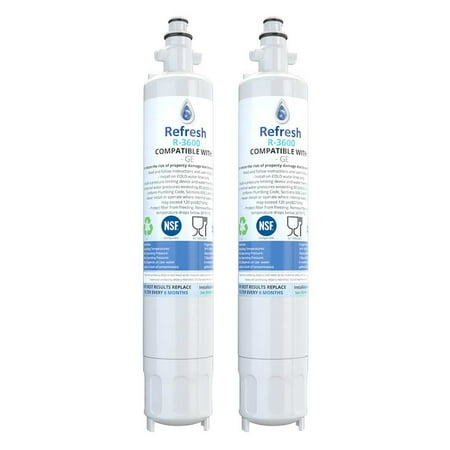 

Replacement Water Filter For GE RPWF WSG-4 -by Refresh (2 Pack)