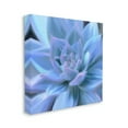 thumbnail image 4 of Stupell Industries Blue Plant Petals Botanical & Floral Painting Gallery Wrapped Canvas Print Wall Art, 24 x 24, 4 of 8