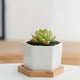 thumbnail image 3 of Ounissouiy Maceta hexagonal para cactus con orificio de drenaje para decoración de escritorio, servicio barato y posventa Jardín y Patio, 3 of 6
