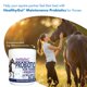 thumbnail image 5 of Suplemento dietético Equa Holistics HealthyGut™ Probióticos para caballos, 5 of 6