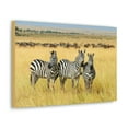 thumbnail image 2 of Zebra Group Zebra Troop Print Animal Wall Art Wildlife Canvas Prints Wall Art Ready to Hang Unframed, 2 of 18