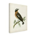 thumbnail image 2 of Trademark Fine Art 'Morris Whinchat' Canvas Art by Morris, 2 of 4