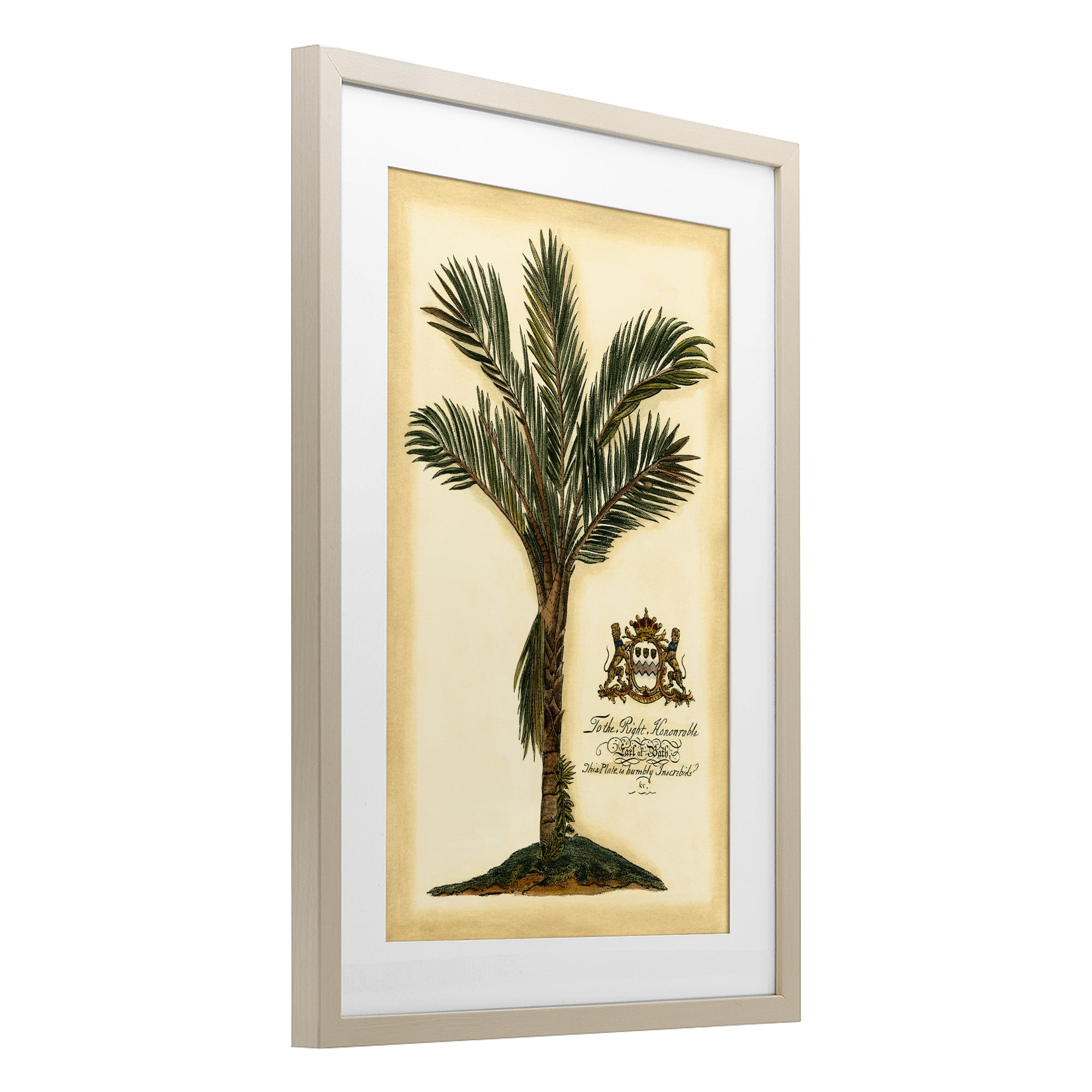 Stupell Industries Vintage Colonial Palm Birch Framed Print Under Glass, design by Vision Studio