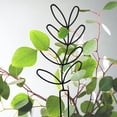 thumbnail image 3 of Soporte de enrejado de jardín de metal para flores decorativas de interior Verduras Estilo A shamjiam Enrejado del marco de soporte, 3 of 4