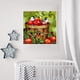 thumbnail image 3 of Cuadros Decorativos Kit de bordado completo de 11 quilates lienzo impreso pájaro manzana Animal punto de cruz chino JShteea Nuevos Originales, 3 of 8