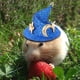 thumbnail image 2 of Gorro para mascota adorable, divertido gorro de pollo, gorro de felpa resistente, gorro de moda para hámster pequeño Azul, 2 of 9