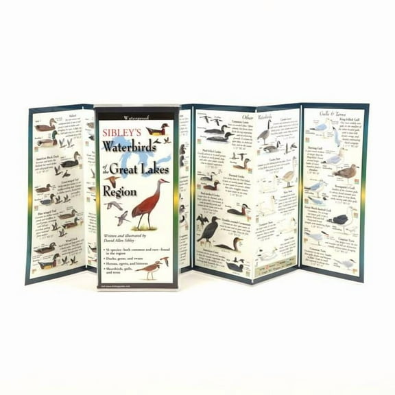 FoldingGuides: Sibley's Waterbirds of the Great Lakes Region (Other)