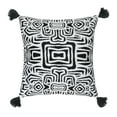 thumbnail image 6 of Rochelle Porter Oga Decorative Square Pillow, Throw, Black, White, Cotton, Polyfill, 20"x 20", 1 Count, 6 of 9