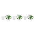 thumbnail image 3 of Injueey Planta falsa para interior o exterior, vegetación Natural durante todo el año, planta Artificial de bajo mantenimiento, lavabo Type1 NO1, 3 of 6