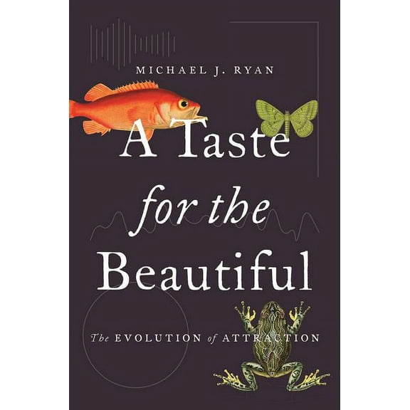 A Taste for the Beautiful: The Evolution of Attraction, (Paperback)