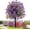 Purple, variant on Artificial Violet for Outdoor Indoor Garden Home Decoration, UV Resistant & Waterproof Artificial Flower Decor, 23" Ground Insert Faux Violet Flowers for Porch Patio Garden Home Yard