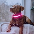 thumbnail image 2 of Collar LED para perro Flashseen, recargable por USB, con luz rosa, 2 of 6