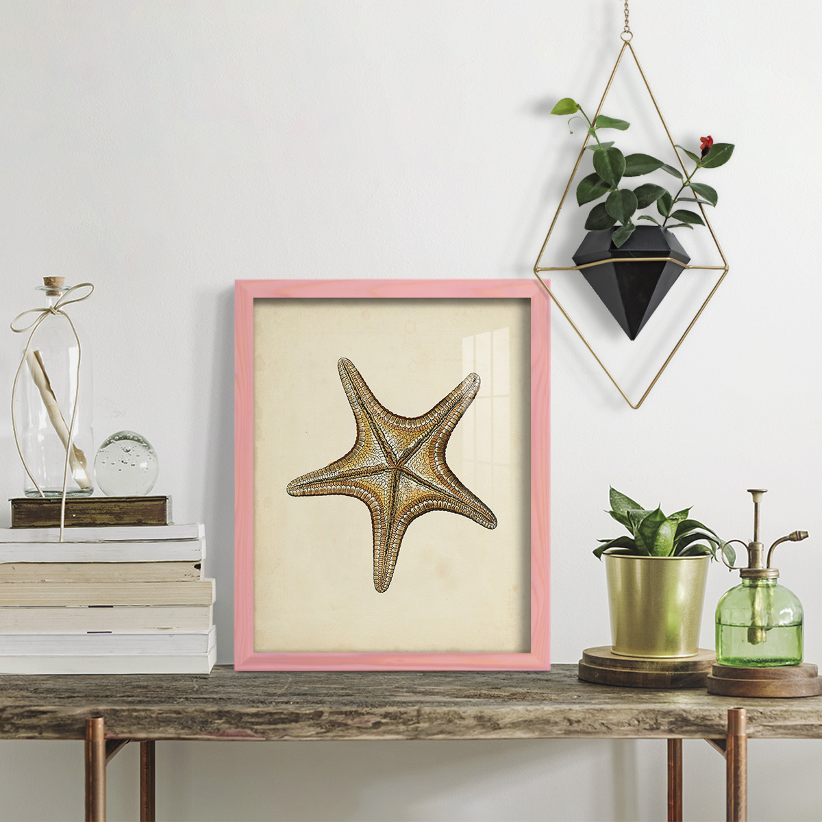 Sealife Collection IV - Framed Print w/glass - Sunset Pink