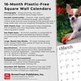thumbnail image 6 of Chihuahua Puppies | 2026 12x24" (Hanging) Square Wall Calendar | Plastic-Free, 6 of 9