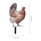 thumbnail image 2 of FESTFENDS 2Ud Señal De Patio Con Estaca En Forma De Gallina Para Exterior, 2 of 6