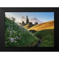 thumbnail image 2 of Krivec, Ales 14x11 Black Modern Framed Museum Art Print Titled - Flowery Morning, 2 of 5