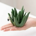 thumbnail image 3 of Shoreew Ring Holder Jewelry Display Stand Compact Design Creative Aloe-Shaped Rings Jewelry Storage Rack Desk Decoration, 3 of 7