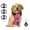Pink, variant on Emperor Pets Black Dog Harness Medium Sized Dog - No Pull Dog Harness with 2 Leash Clips, Premium Oxford Soft Padded Harness Medium Size Dog, Medium Dog Harness (M, Black)