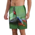 thumbnail image 2 of Goofa Red-Eyed Tree Frog-1 Printed Mens Swim Trunks Summer Quick Dry Short Beach Swimwear Bathing Suits-X-Large, 2 of 9