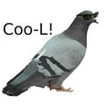 thumbnail image 2 of CafePress - Cool Pigeon Mug - 11 oz Ceramic Mug - Novelty Coffee Tea Cup, 2 of 4