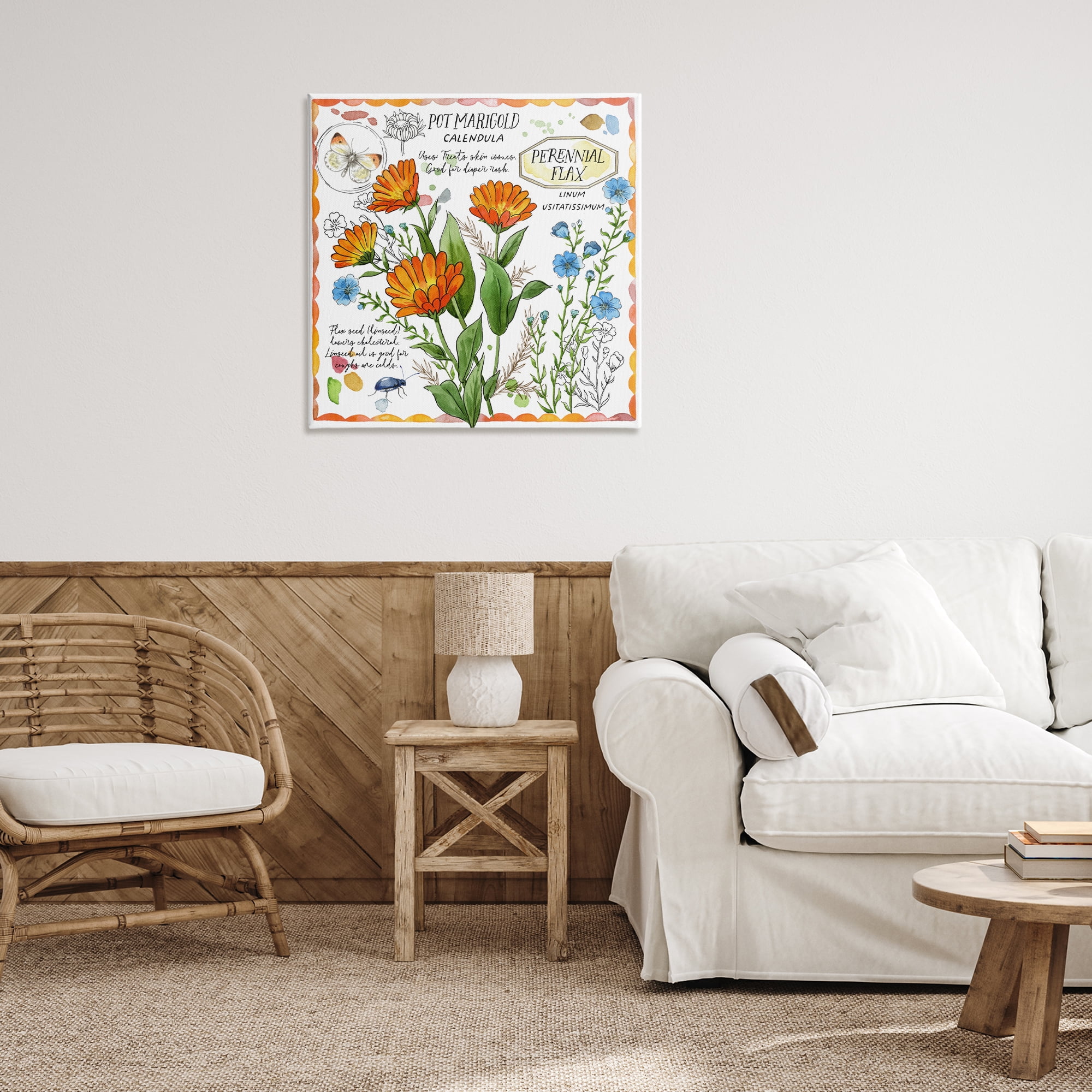 Stupell Industries Country Herb Uses Plants & Flowers Painting Wrapped Canvas Art Print Wall Art, 30 x 30