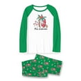 thumbnail image 5 of Santa Flamingo Matching Family Christmas Pajamas Funny, Tropical Green And White Pajamas With Plus Size, 5 of 7