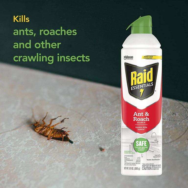 Raid Essentials Spray pressurisé multi-insectes 350 g