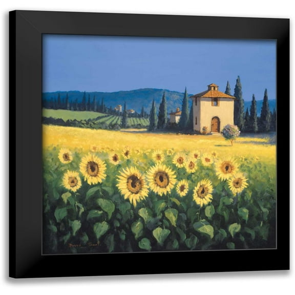 Short, David 12x12 Black Modern Framed Museum Art Print Titled - Golden Warmth