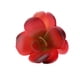 thumbnail image 1 of Plástico Artificial uculenta Cactus Echeveria Flores Decoración, Selección Zulema Planta artificial, 1 of 5