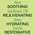 thumbnail image 4 of Loción corporal Plant Therapy sin perfume con aloe y karité 240 ml, 4 of 9
