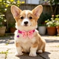thumbnail image 6 of 4Pcs Cute Girl Dog Collars with Bow Tie, Soft Nylon Adjustable Extra Small Dog Collar for Tiny Puppies, XS Pet Collar for Neck 7.5-12.5 Inch, 6 of 8