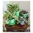 thumbnail image 2 of Flower Pots with Saucers, 7 inch Lime Green, Case of 5, Plastic, seedlings Planter, Nursery Planter, Colorful Flower Planter, Seed Starting Pot with Saucers (Lime Green), 2 of 9