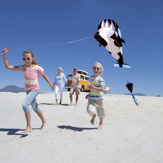 Cometa de delfín para niños cometa de ballena con cola larga Tmvgtek voladora cometas de acrobacias colas largas diversión al aire libre deportes juguetes voladores Rips