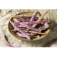 thumbnail image 5 of 50 Seeds DRAGON TONGUE Wax BEAN Yellow & Purple Dragon's Tongue Phaseolus Vulgaris Legume Vegetable Seeds, 5 of 8