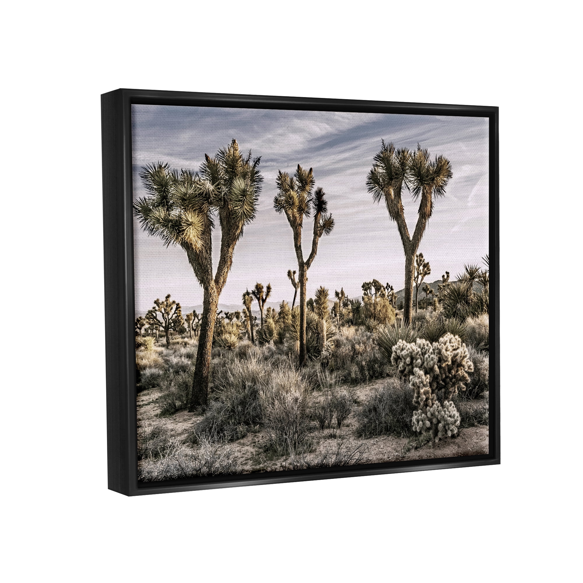 Stupell Industries Desert Cacti Vegetation Landscape Photography Black Floater Framed Canvas Art Print Wall Art, 31 x 25