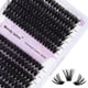 thumbnail image 1 of Eyelash Clusters WENDY LASHES Fluffy D Curl 12-16 mm 240 unidades, 1 of 7