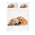 thumbnail image 1 of Gouchee Design So Cute Queen Duvet Cover Set, 1 of 2