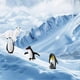 thumbnail image 3 of Mini Building Blocks 3D Animal Diamond Model Micro Bricks Enlightenment Diy Toy, 3 of 5